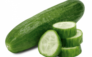 Cucumber