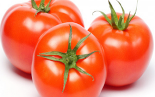 Tomato