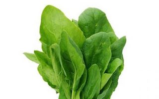 Spinach – Malabar (Pui Saag)