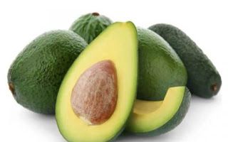 Avocado