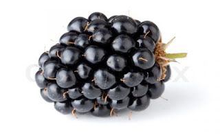 Blackberries