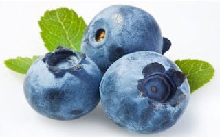 Blueberries