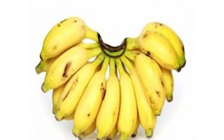 Banana – Yellow/Ripe