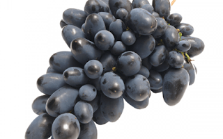 Grapes Black