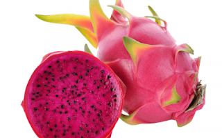 Dragon Fruit 