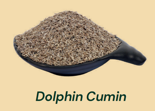 Dolphin Cumin