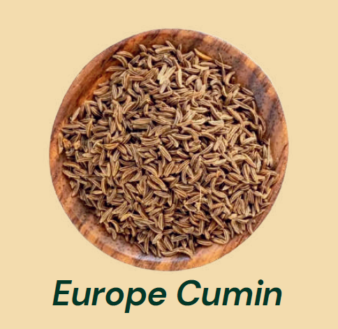 Europe Cumin