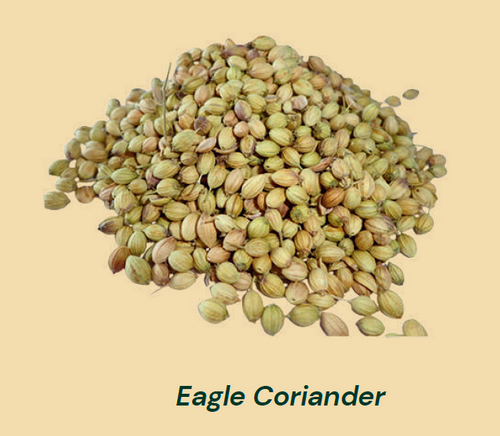 Eagle Coriander Seeds