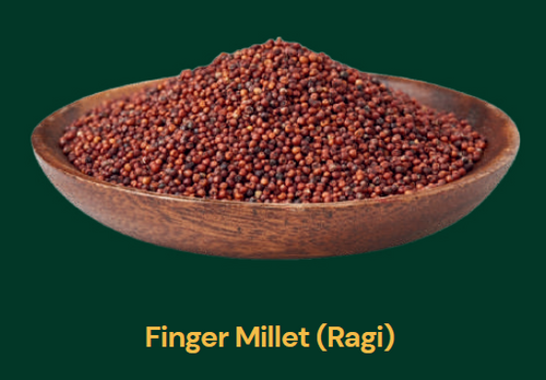 Finger Millets (Ragi)