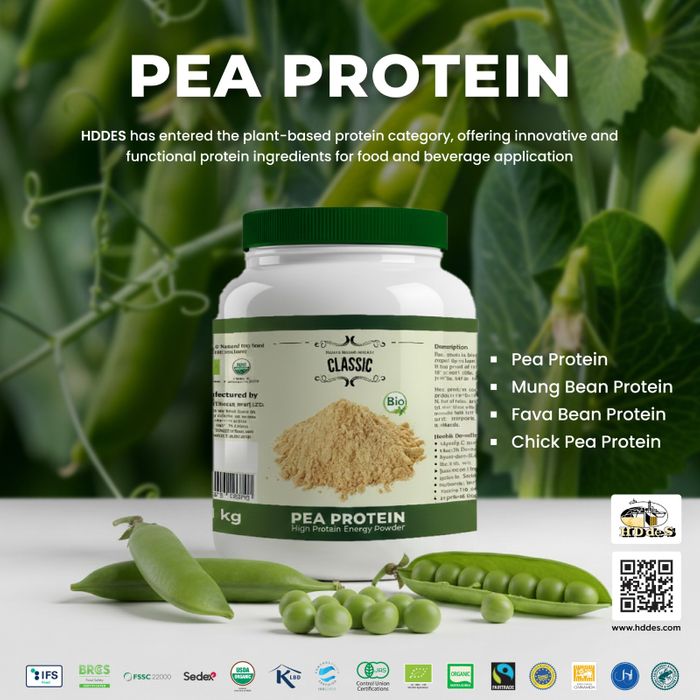 Pea Protein 