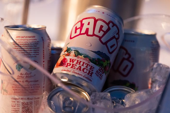 White Peach & Prickly Pear - Low Sugar Soda