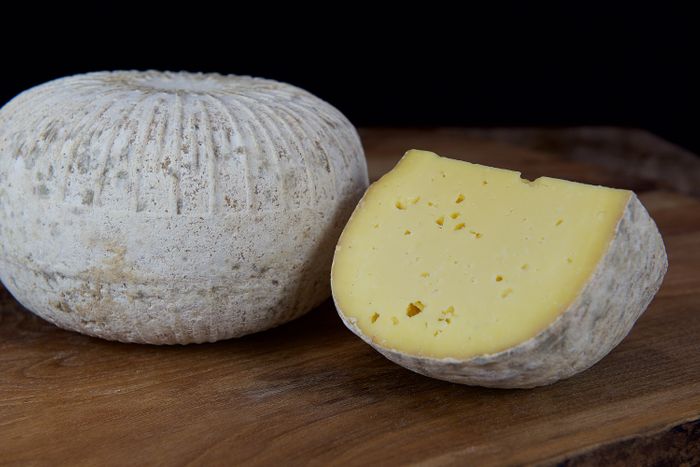 RAINTON TOMME