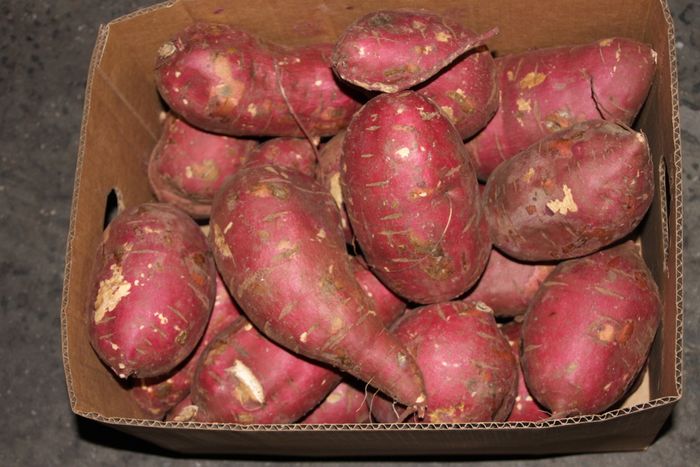 Sweet Potatoes