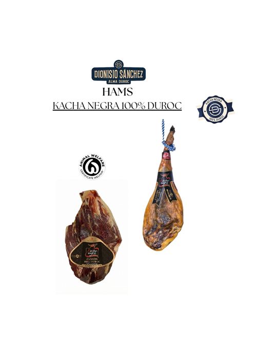 Dionisio Sanchez. The Cured Range. Hams & Shoulders.