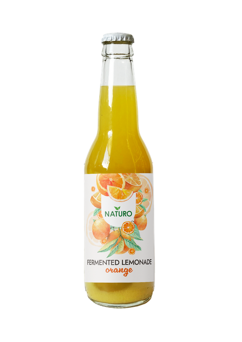 Fermented fruit Lemoniades