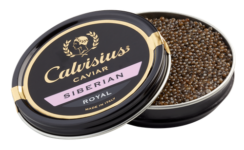 Calvisius Siberian Royal