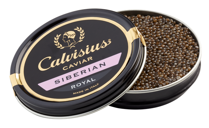 Calvisius Siberian Royal