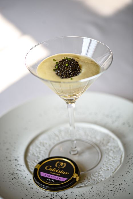 Calvisius Siberian Royal