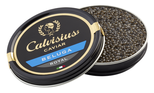 Calvisius Beluga Royal
