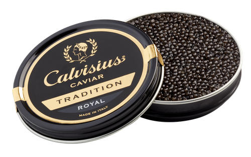 Calvisius Tradition Royal