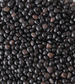 Lentils 