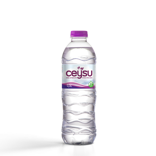 Ceysu Natural Spring Water PET 0,5L
