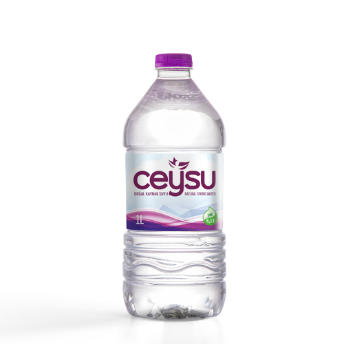 Ceysu Natural Spring Water PET 1L