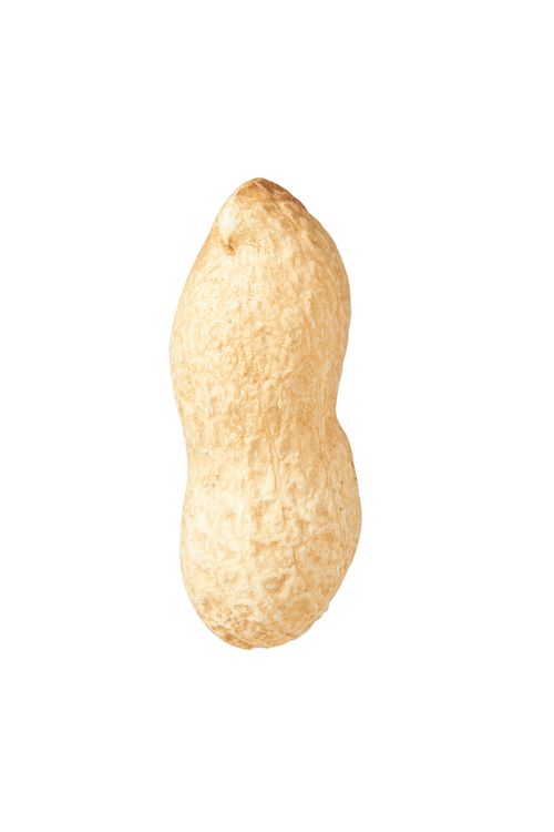 Peanut in shell