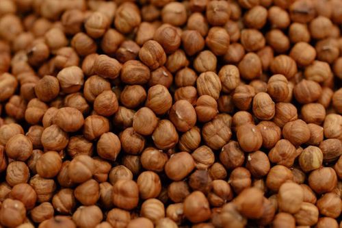 Raw Hazelnuts