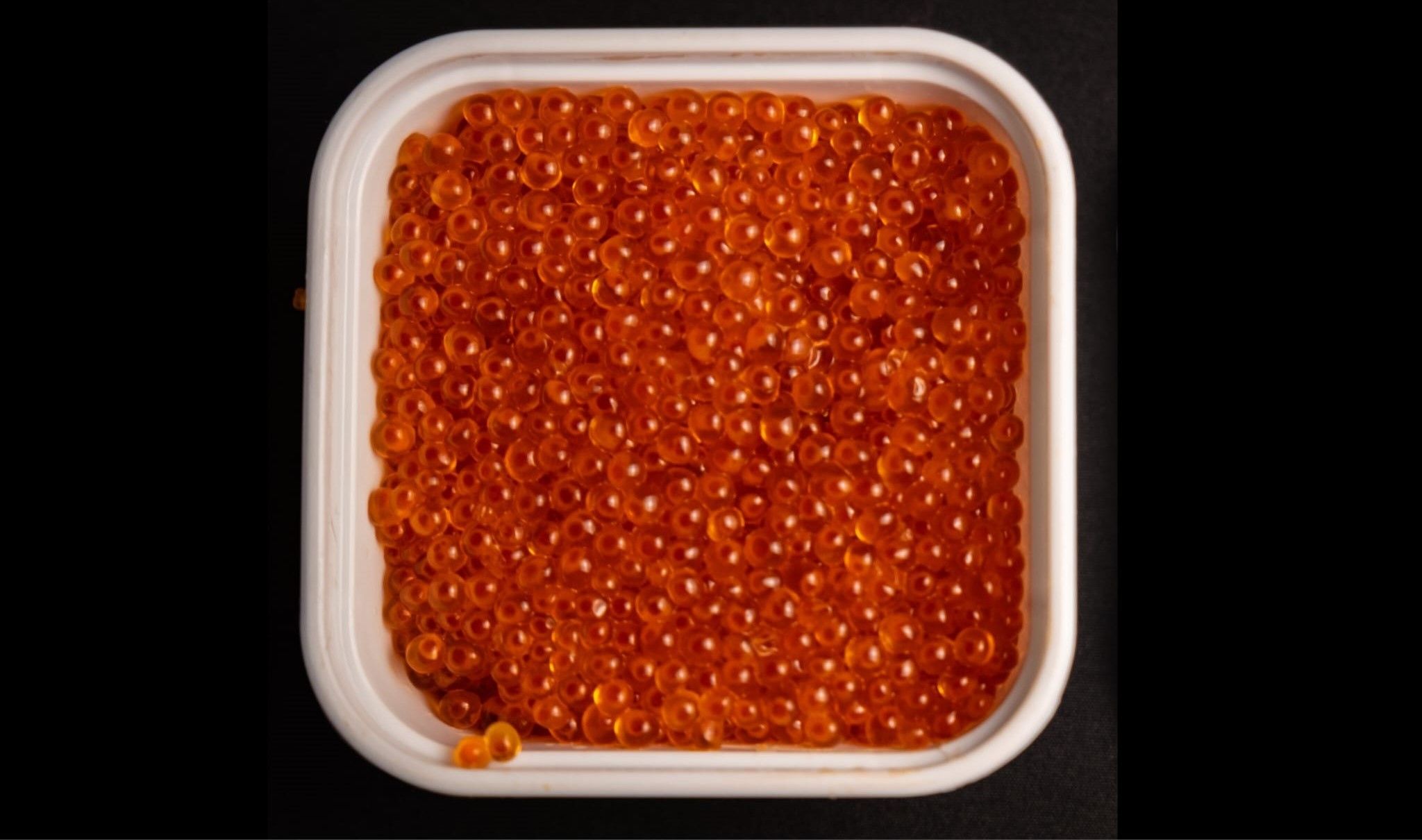 Frozen Salted Trout Roe from Denmark