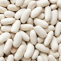 Great Northern Beans 