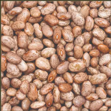 Pinto Beans 