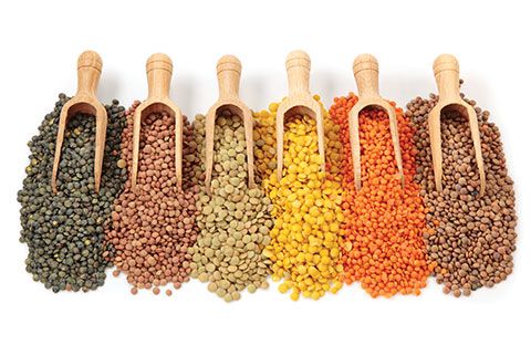 LENTILS