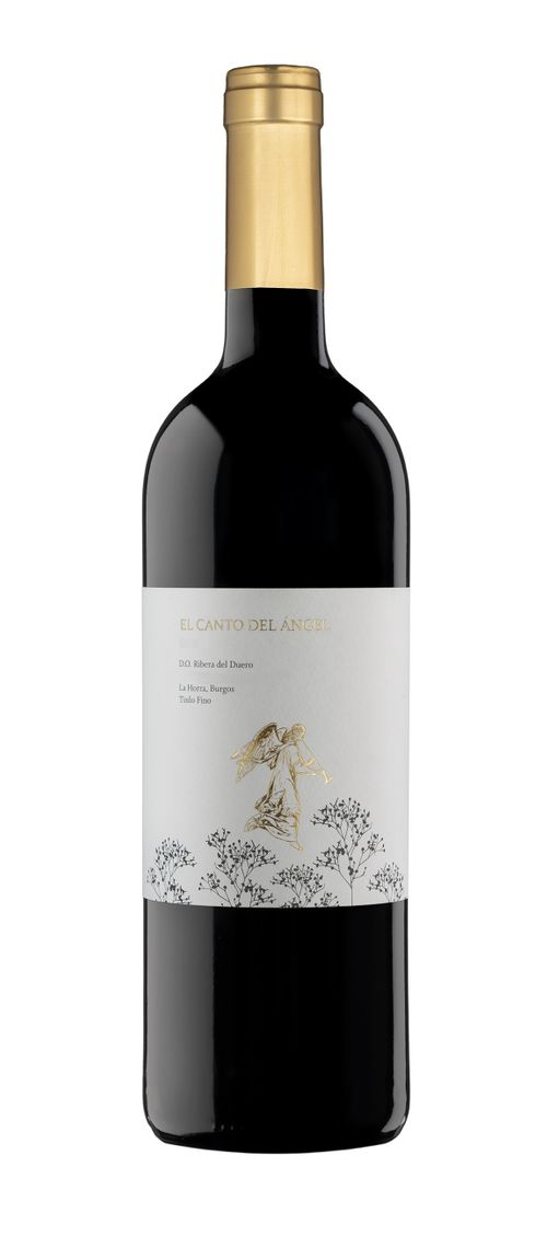 El Canto del Ángel