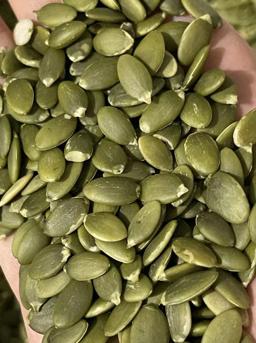 pumpkin seed