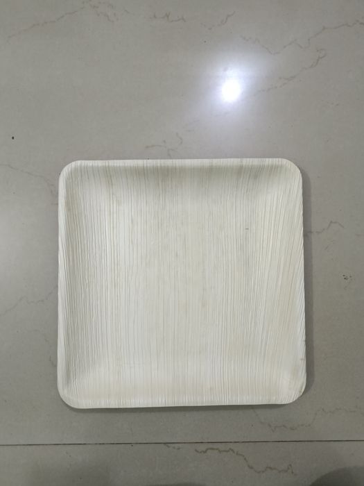 Areca palm leaf plates