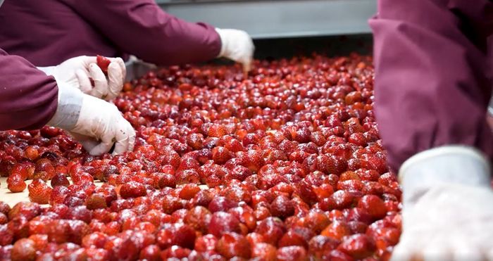 Frozen Fruit