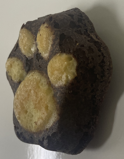 Cat's paw (milk)