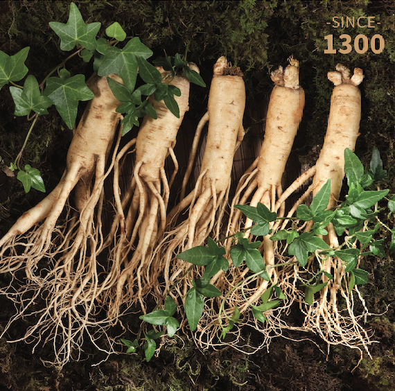 Geumsan Ginseng Liquor 28% vol
