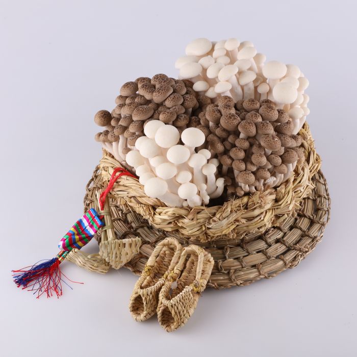 Fresh Shimeji Mushroom