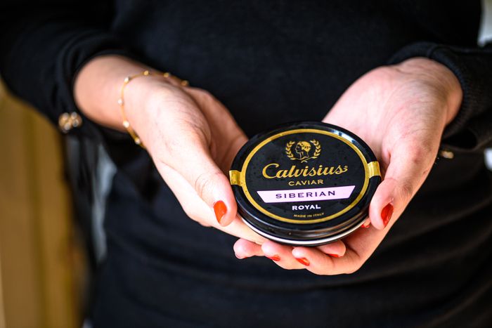 Calvisius Siberian Royal