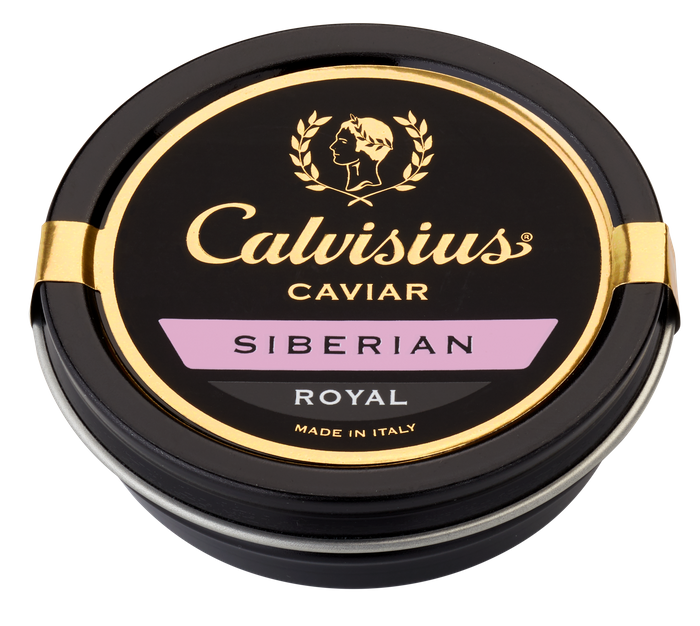 Calvisius Siberian Royal