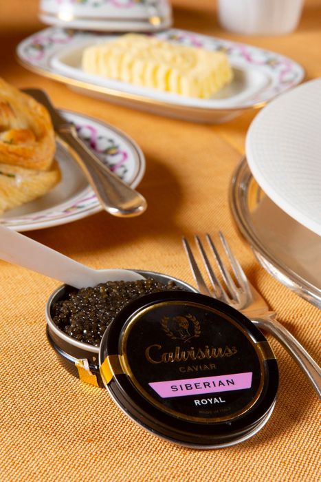 Calvisius Siberian Royal