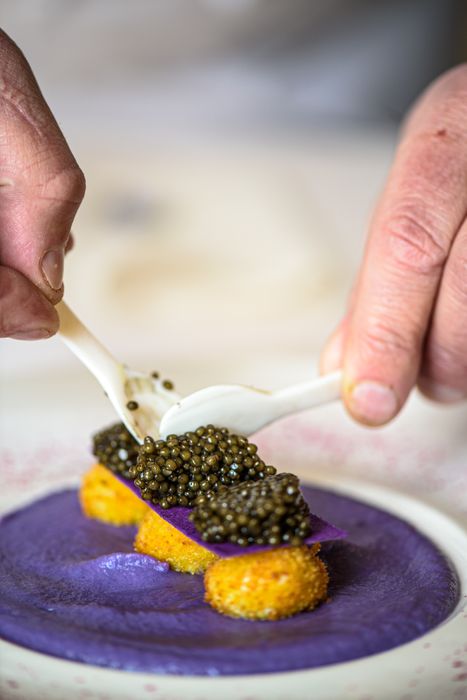 Calvisius Ars Italica Oscietra Royal