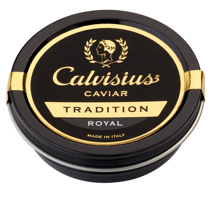 Calvisius Tradition Royal