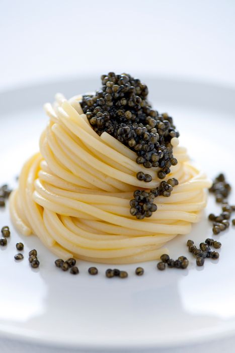 Calvisius Tradition Royal