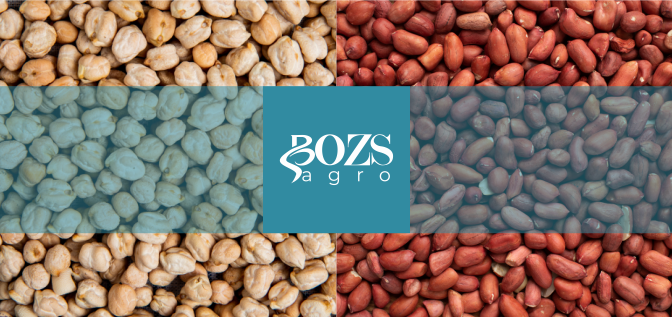 SEEDS , GRAINS, PULSES, DRIED FRUITS and NUTS