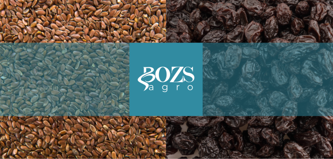 SEEDS , GRAINS, PULSES, DRIED FRUITS and NUTS