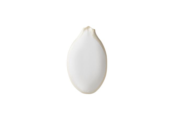 snow white pumpkin seeds in shell