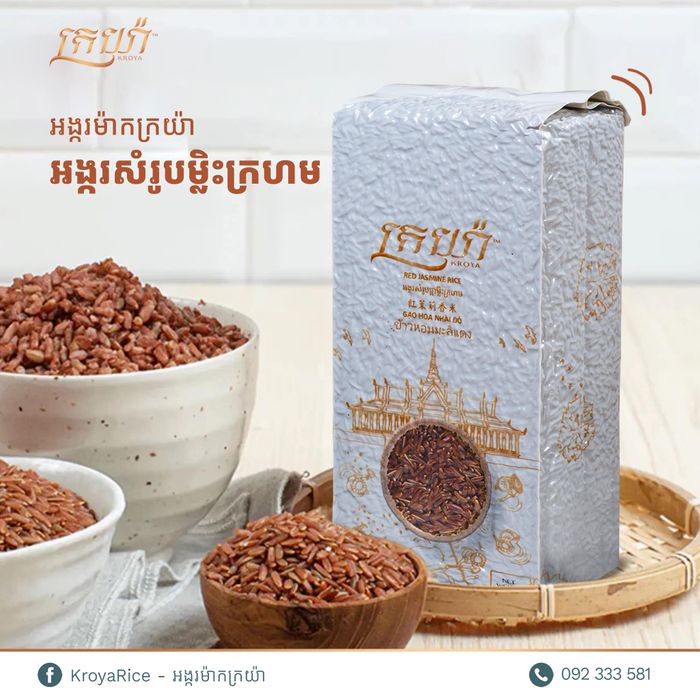 Kroya Brand